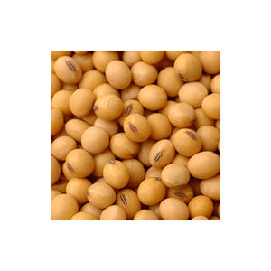 Frijoles de soja orgánicos sin OGM de alta calidad Frijoles de soja secos amarillos para germinación y envasado a granel de alimentos - Product Image 6