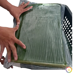 Feuilles de bananier surgelées IQF, adaptées à la vente au détail, aux restaurants et à la transformation, feuilles de bananier surgelées de haute qualité - Product Image 1