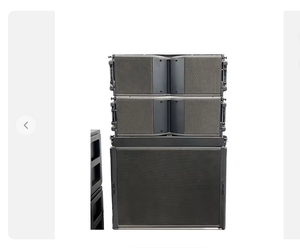 Sistema de Sonido Profesional para Exteriores RIY-210, Altavoz Line Array Doble de 10 Pulgadas con Neodimio, 4 Ohmios, con Garantía de 3 Años y Voltaje de CA 100-240V - Product Image 5