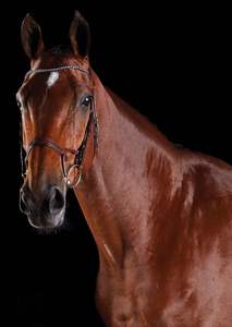 Bride en cristal sautant - Product Image 6