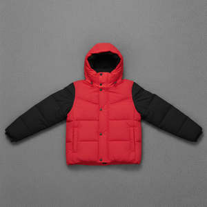 Veste matelassée pour femme à manches longues, style le plus récent, tissu respirant, épaisse, chaude, matelassée, surdimensionnée, fermeture éclair, veste à bulles pour l'hiver - Product Image 1