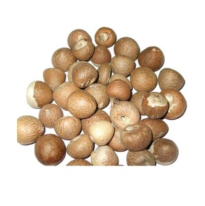 Stock en gros disponible de noix de bétel séchées à prix de gros - Product Image 5