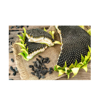 Graines de tournesol brésiliennes originales, brutes, séchées, en vrac, 100% naturelles, qualité A