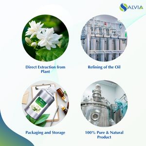 Huile essentielle de jasmin pur d'approvisionnement d'usine pour la fabrication de parfums et de bougies, grossiste de jasmin auriculatum, prix de gros absolu - Product Image 4