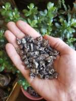 Spécimen de météorite brute naturelle de meilleure qualité Pierre précieuse en vrac Lot en vrac naturel Spécimen de météorite de pierre précieuse pour bijoux