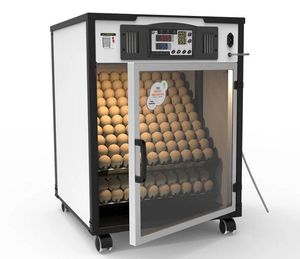 Incubateur d'Œufs Automatique de Haute Qualité VIETSUN, Couveuses pour l'Éclosion des Œufs Équipement Agricole - Fabriqué au Vietnam - Product Image 6