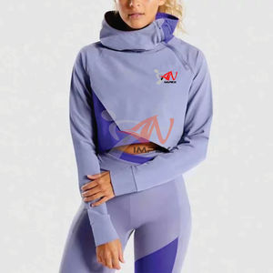 Sweat-shirt à capuche court pour femme de haute qualité, logo imprimé personnalisé, sweat-shirt d'hiver avec col à capuche flexible - Product Image 1