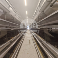 Système de cages à poules pondeuses de type H entièrement automatique, équipement d'élevage avicole avec nettoyage du fumier