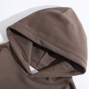 Sweat-shirt à capuche en éponge française 100% coton pour homme, poids lourd, coupe surdimensionnée, logo imprimé personnalisé, vêtements épais - Product Image 1