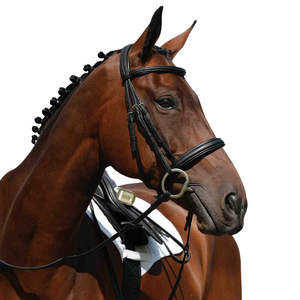 Horse Flash Bridle - Black Comfort Head Bridle con riendas continentales Web, Negro, FULL Desmontable Neopreno Acolchado - Product Image 2