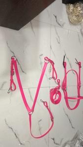 Ensemble de bride et de martingale pour cheval en PVC personnalisé en matériau Biothene Tailles et couleurs Caractéristiques confortables Directement des fournisseurs - Product Image 2