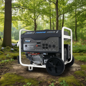 Generador Portátil de Gasolina Pulsar PG7500 Serie Estándar - EPA, 4 Tiempos, Arranque Automático, Salida CA/CC - Product Image 2