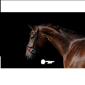 Bride anatomique en cuir de cheval avec logo personnalisé Design anatomique confortable de style occidental - Product Image 2