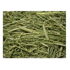 Heno de Timothy Natural de Alta Calidad Disponible para la Venta a Bajo Precio - Product Image 1