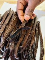 Fèves de vanille de qualité supérieure, séchées, 100% naturelles, en provenance du Sri Lanka