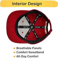Casquette de baseball brodée inspirée de Delta Sigma Theta, modèle le plus récent, avec numéro 13, sangle réglable, visière incurvée, style streetwear, vente en gros