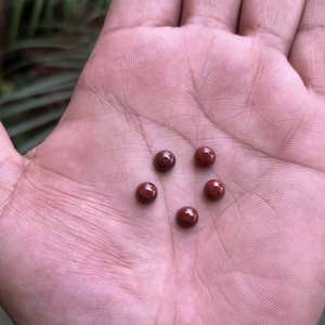 Forma redonda de jaspe rojo Natural, cabujón calibrado con reverso plano de 12mm, piedra preciosa para hacer joyas, anillos, colgante para collar, tobillera - Product Image 3