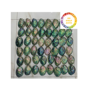 Concha de abulón pulida de Vietnam, ideal para recuerdos, decoración del hogar y fabricación de joyas - Product Image 6