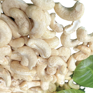 Offre Spéciale meilleur taux d'importation de noix de cajou séchées crues Vietnam W180 Emballage de marque privée disponible - Product Image 1