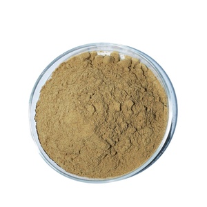 Hot Bán 100% Tinh Khiết Hữu Cơ <span class=keywords><strong>Brahmi</strong></span> Lá Bột Thảo Dược Tự Nhiên Chiết Xuất Cho Sự Tăng Trưởng Tóc Hoang Dã Trồng Tại Giá Bán Buôn - Product Image 6