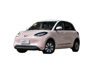 Mini SUV électrique de style Bingguo 2023, charge rapide, autonomie de 203 km, compact, nouvelle énergie, berline électrique pour usage privé - Product Image 5