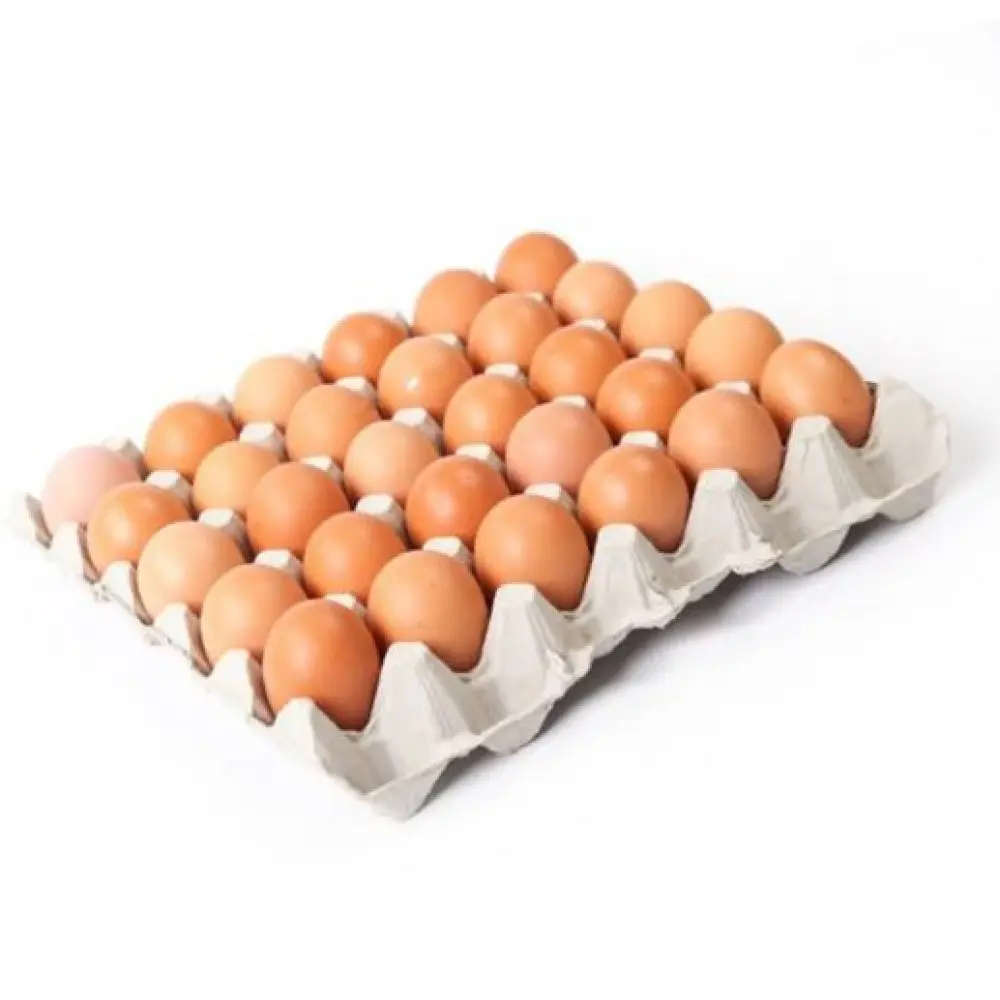 100% Clean Best quality Brown and White Shell Chicken Eggs for sale