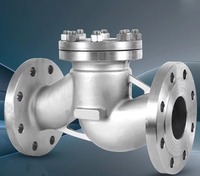 Válvula de Retención de Acero Inoxidable Industrial SS304 con Brida PN16 para Tuberías de Gas Natural, Petróleo, Agua y Vapor