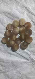 Botones de cuerno de vaca natural de alta calidad Técnica cruda Directo de India-World Craft Impex para la industria de botones - Product Image 2