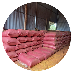 POUDRE D'ÉCORCE ROUGE PURE/POUDRE JOSS DISPONIBLE AU VIETNAM - Product Image 6