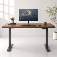Table électrique extensible ZWEAL, moderne, réglable en hauteur, double moteur, acier inoxydable, bureau assis-debout, pour la maison et le bureau