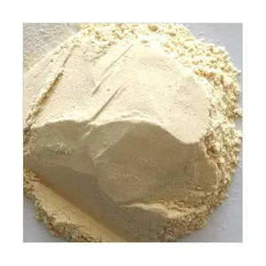 Factory Supply Top Grade Garlic Extract 100% Herbal Garlic Powder For Export Sale