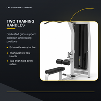 Máquina de Polea Horizontal y Remo Vertical con Pila de Pesas de 100 kg, Equipo de Gimnasio para Fortalecimiento de Espalda