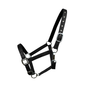 Neopreno forrado de nailon caballo Halter ajustable Headcollar fuerte duradero entrenamiento ecuestre Halter venta al por mayor suministro de fábrica a granel - Product Image 2