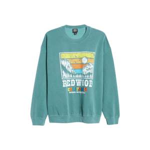 Felpa Girocollo Redwood Cali da Donna BDG Urban Outfitters Verde con Tessuto Traspirante Lavorato a Maglia Taglia XS per l'Autunno - Product Image 1