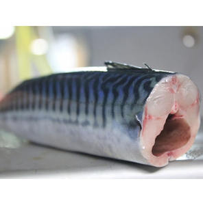 ปลาแมคเคอเรลแช่แข็งที่อุดมไปด้วยกรดไขมันโอเมก้า3รองรับสุขภาพหัวใจและหลอดเลือดและการทำงานของสมอง - Product Image 5
