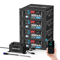Batterie de stockage d'énergie LiFePO4 51,2 V 100 Ah, 5,12 kWh, montée sur rack, batterie lithium pour système de stockage d'énergie domestique