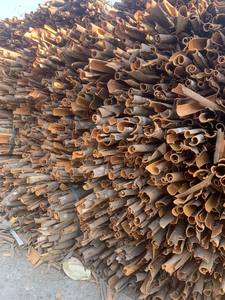 [Crop d'automne 2025] Bâtons de cannelle de qualité supérieure, qualité exceptionnelle, cannelle de cassia originale, provenant de l'usine d'exportation du Vietnam, approvisionnement en vrac - Product Image 2