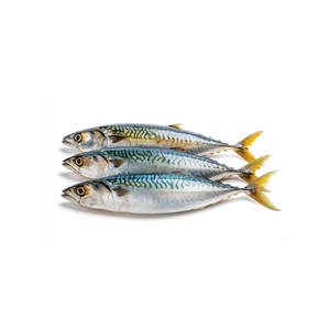 Poisson de maquereau congelé océan frais, qualité A, et emballé dans des cartons en vrac pour l'exportation - Product Image 3