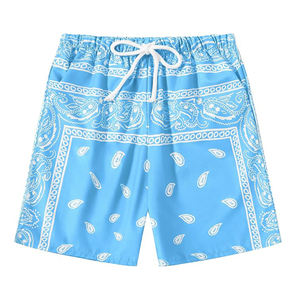 Pantalones cortos de malla para hombre, ropa de gimnasio con estampado de Cachemira y poliéster con logotipo personalizado, pantalones cortos atléticos de verano al por mayor - Product Image 3