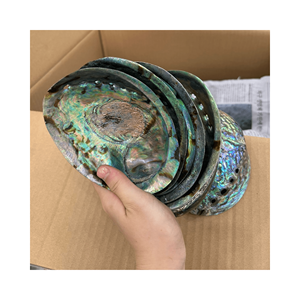 Vente en gros de haute qualité en cristal de coquille d'ormeau poli naturel coquillage artisanal coquille de perle décoration de la maison - Product Image 1