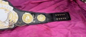 Ceinture de championnat poids lourd de qualité supérieure conçue sur mesure avec bracelet en cuir véritable de 2mm Position du logo avant durable pour la boxe de lutte - Product Image 3