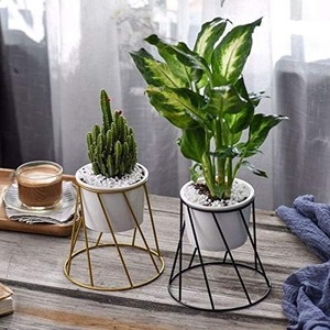 Elegante Maceta Pequeña Dorada para Plantas de Interior de Estilo Contemporáneo, Decoración del Hogar y Detalles Decorativos de la India - Product Image 6