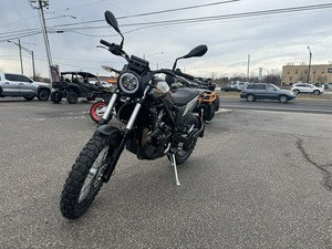 NOUVEAU 2026 BETAs ALP X X Nouvelles motos sportives - Product Image 5