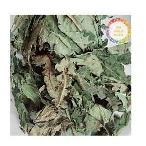 Feuilles de papaye séchées les plus vendues au Vietnam, vente en gros, feuilles de papaye séchées entières à prix abordable - Product Image 6