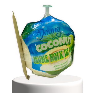 Ingrese a nuevos mercados sin esfuerzo con nuestro Easy Open Coconut, el epítome de la innovación de exportación. - Product Image 3