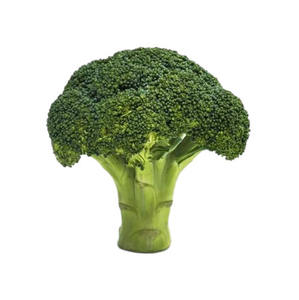 Brócoli Fresco de Primera Calidad, Disponible a Granel/en Racimos, Listo para Cocinar, Naturalmente Verde, Origen Reino Unido, 12 Meses de Duración - Product Image 6