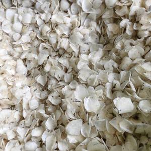 Venta caliente escamas de pescado seco mejor precio escamas de pescado seco para la producción de colágeno de los principales proveedores de Vietnam - Product Image 1