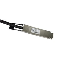 Kabel Interkoneksi Tembaga Twinax Standar OSFP MSA untuk Pusat Data Densitas Tinggi 0.5m 1m 1.5m 2m 800G OSFP112 Kabel DAC Pasif 100