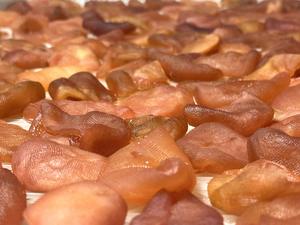 Délice tropical dans chaque tranche: Fruit de la passion séché de qualité supérieure du Vietnam - Product Image 2