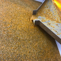 Pulpe de fruit de la passion congelée de haute qualité pour l'exportation